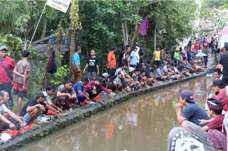 Nikmati Lomba Memancing Di Air Deras Bali Tribune 7711